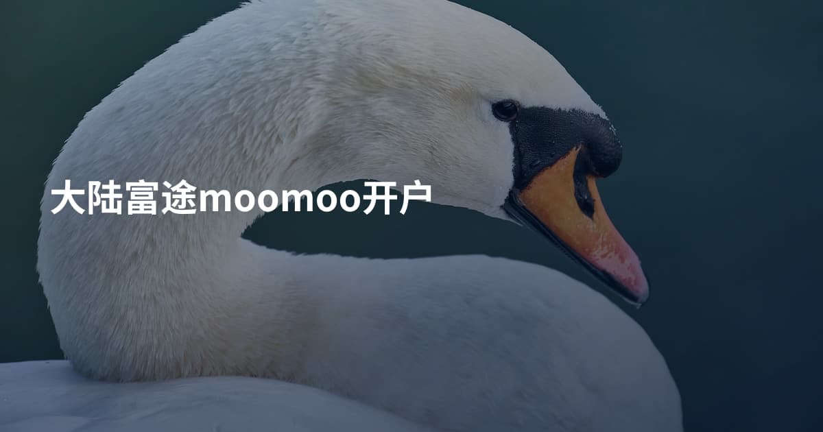 大陆富途moomoo开户