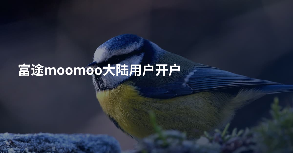 富途moomoo大陆用户开户
