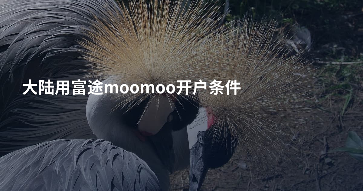 大陆用富途moomoo开户条件