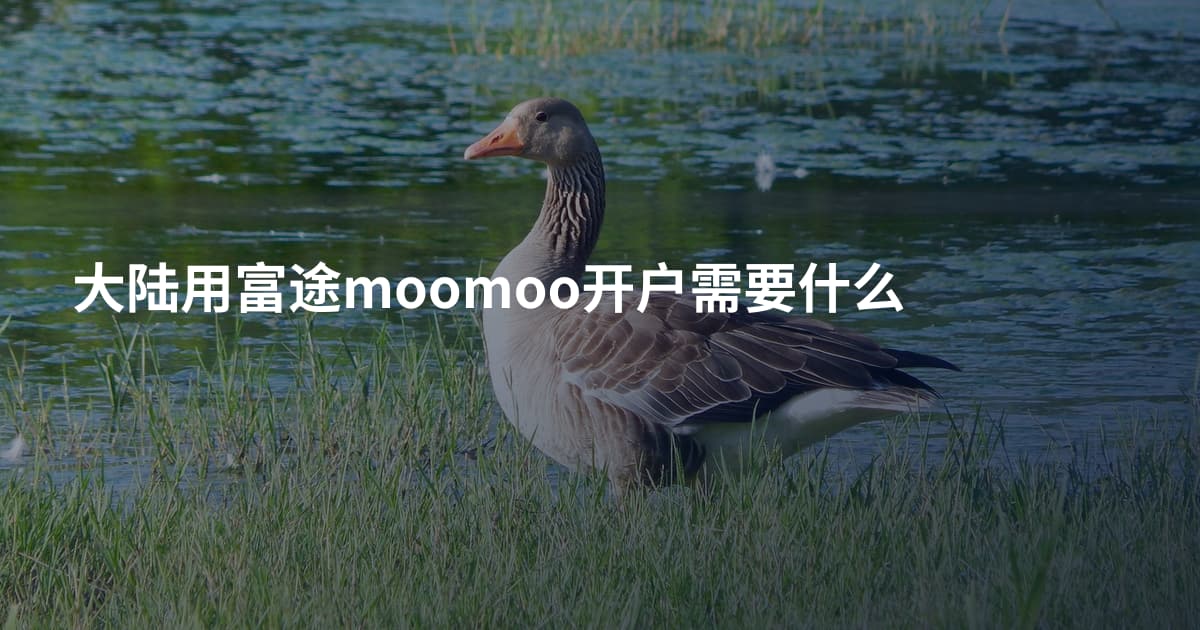大陆用富途moomoo开户需要什么