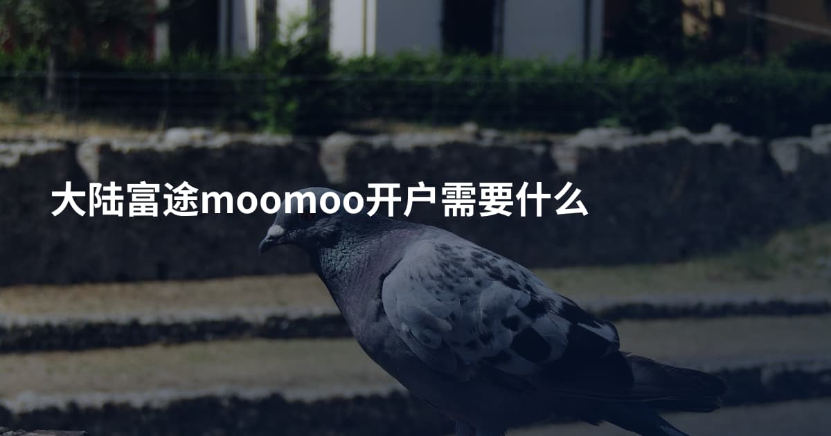 大陆富途moomoo开户需要什么