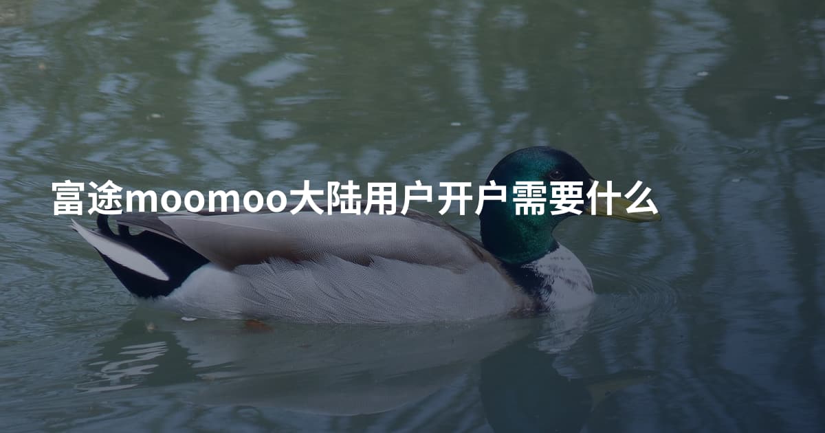 富途moomoo大陆用户开户需要什么
