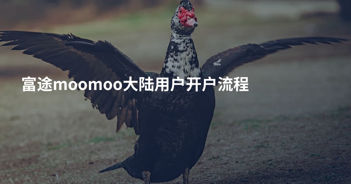 富途moomoo大陆用户开户流程