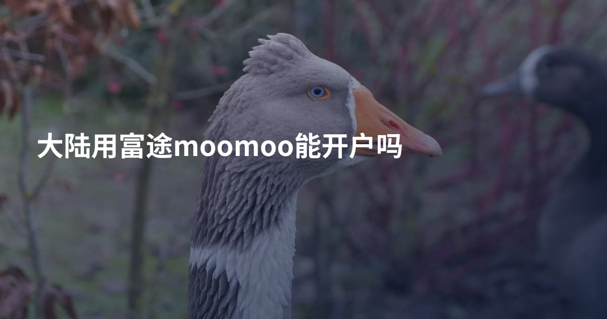 大陆用富途moomoo能开户吗