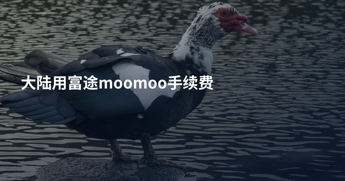 大陆用富途moomoo手续费