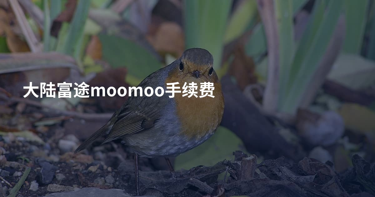 大陆富途moomoo手续费