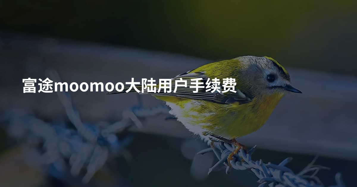 富途moomoo大陆用户手续费