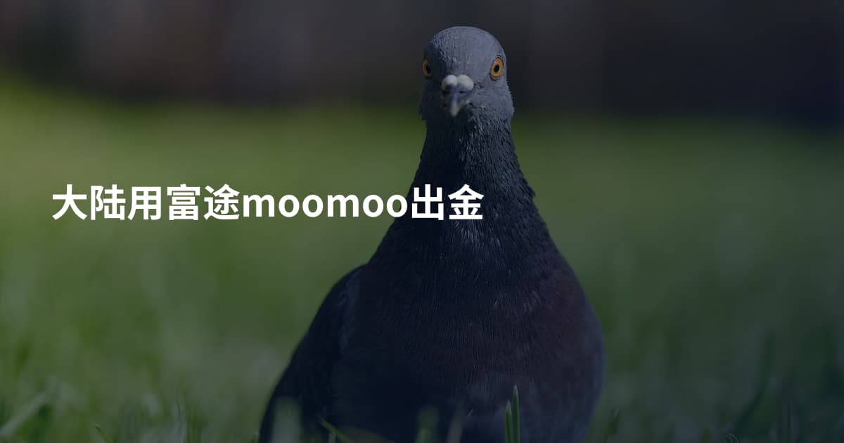 大陆用富途moomoo出金