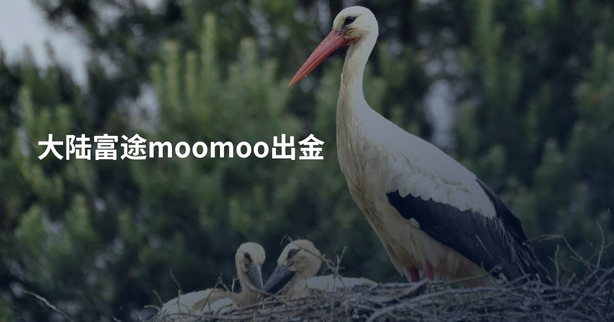 大陆富途moomoo出金