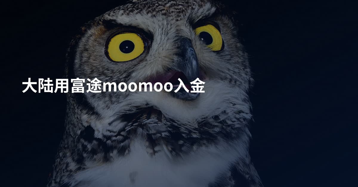 大陆用富途moomoo入金
