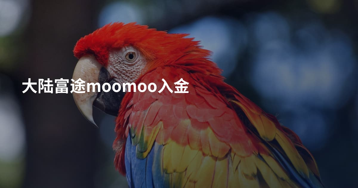 大陆富途moomoo入金