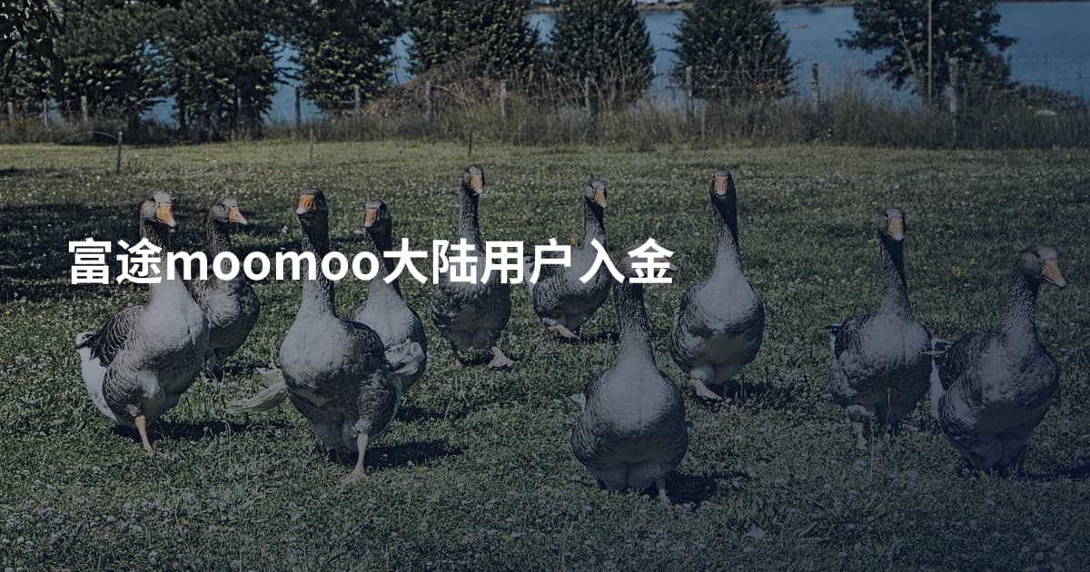 富途moomoo大陆用户入金
