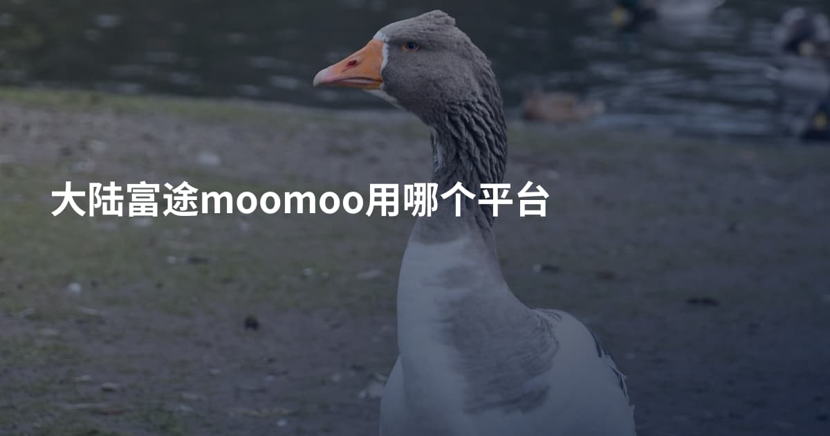 大陆富途moomoo用哪个平台