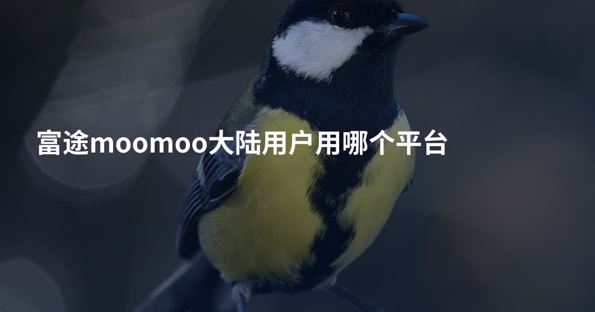 富途moomoo大陆用户用哪个平台