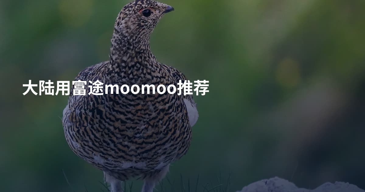 大陆用富途moomoo推荐