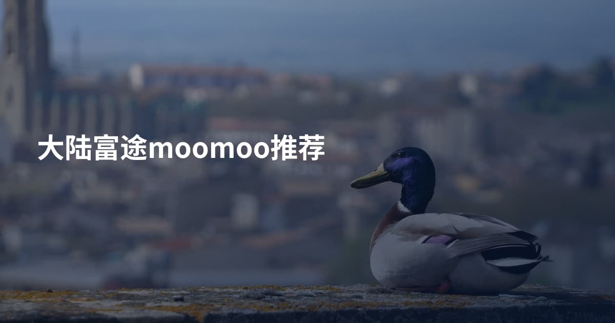 大陆富途moomoo推荐