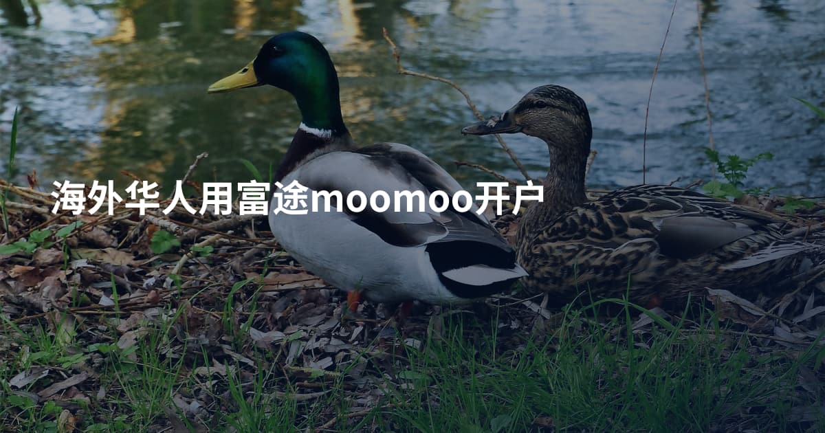 海外华人用富途moomoo开户