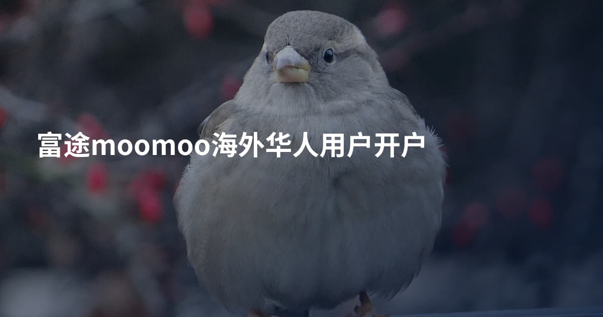 富途moomoo海外华人用户开户