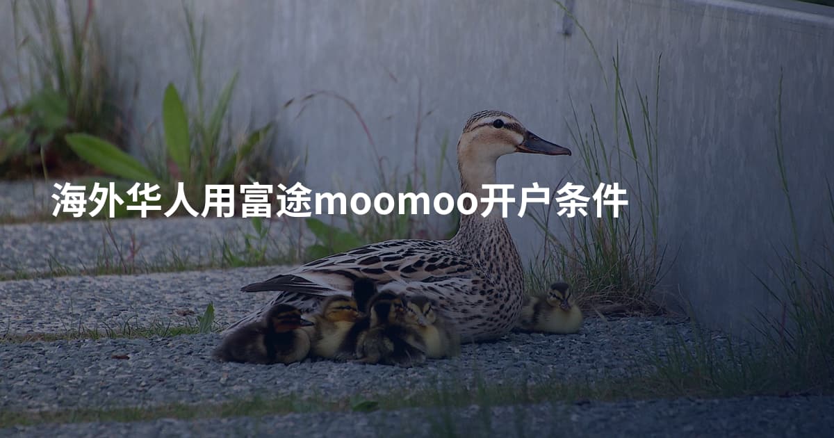 海外华人用富途moomoo开户条件