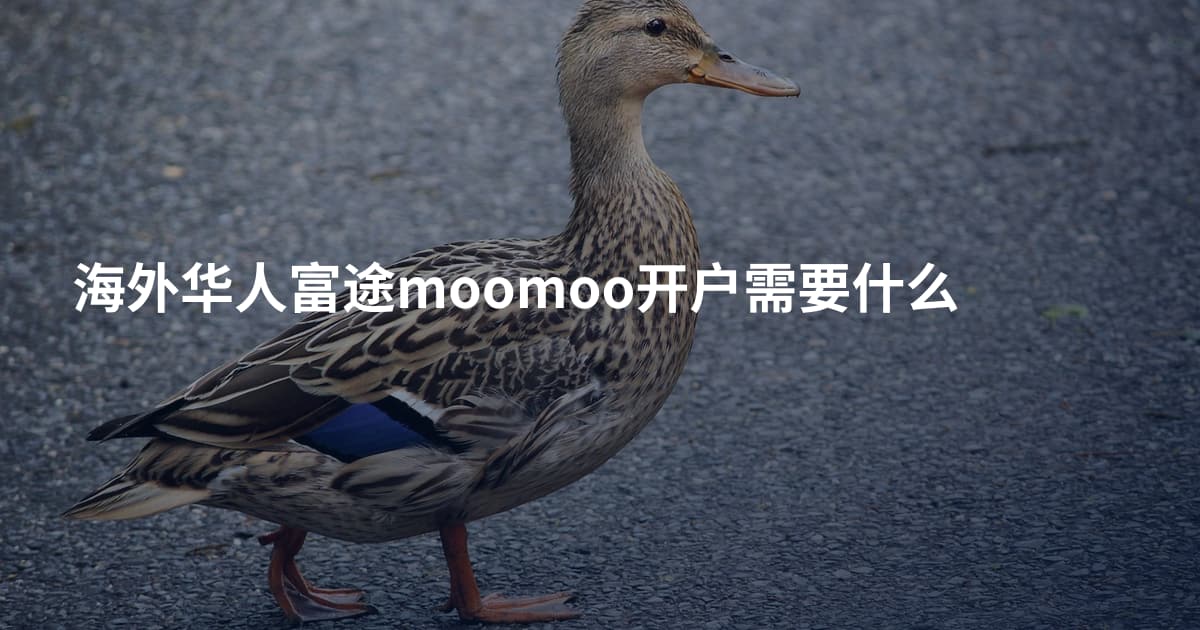 海外华人富途moomoo开户需要什么