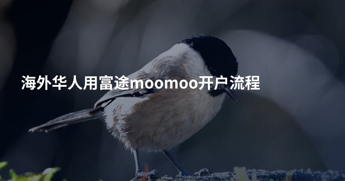 海外华人用富途moomoo开户流程