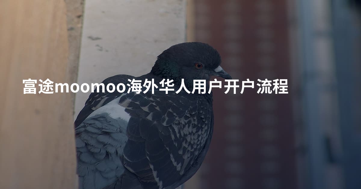 富途moomoo海外华人用户开户流程