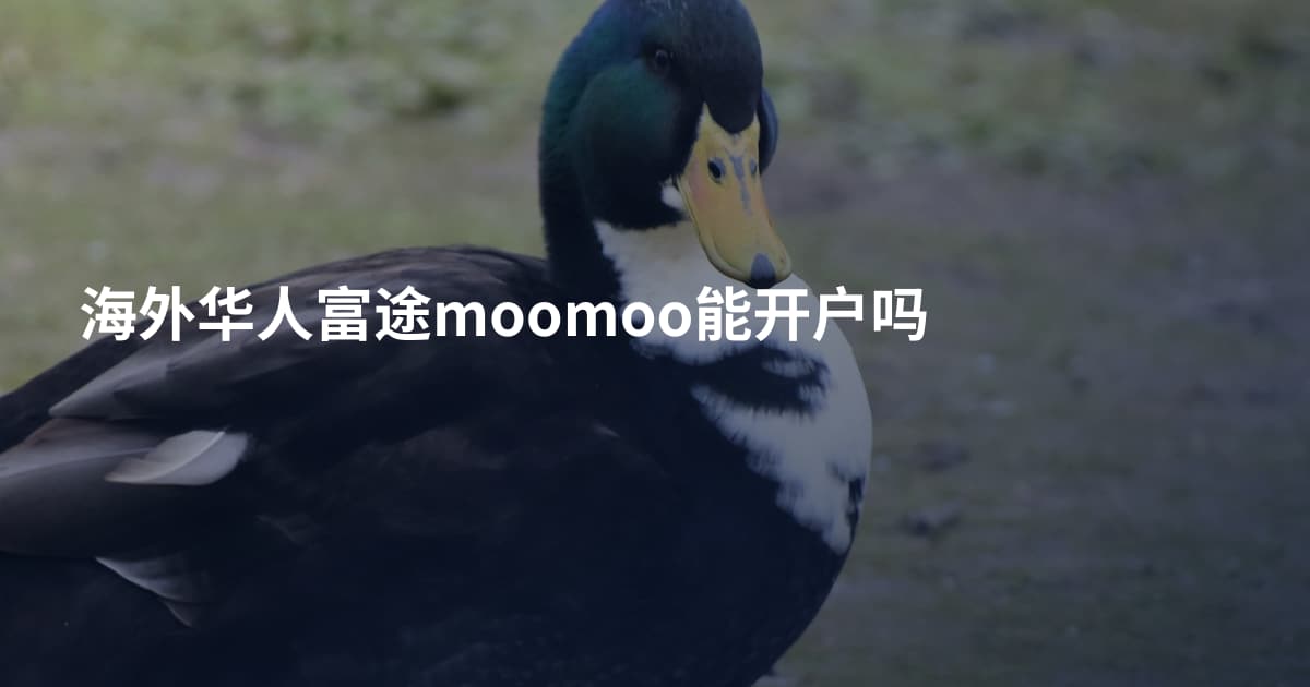海外华人富途moomoo能开户吗