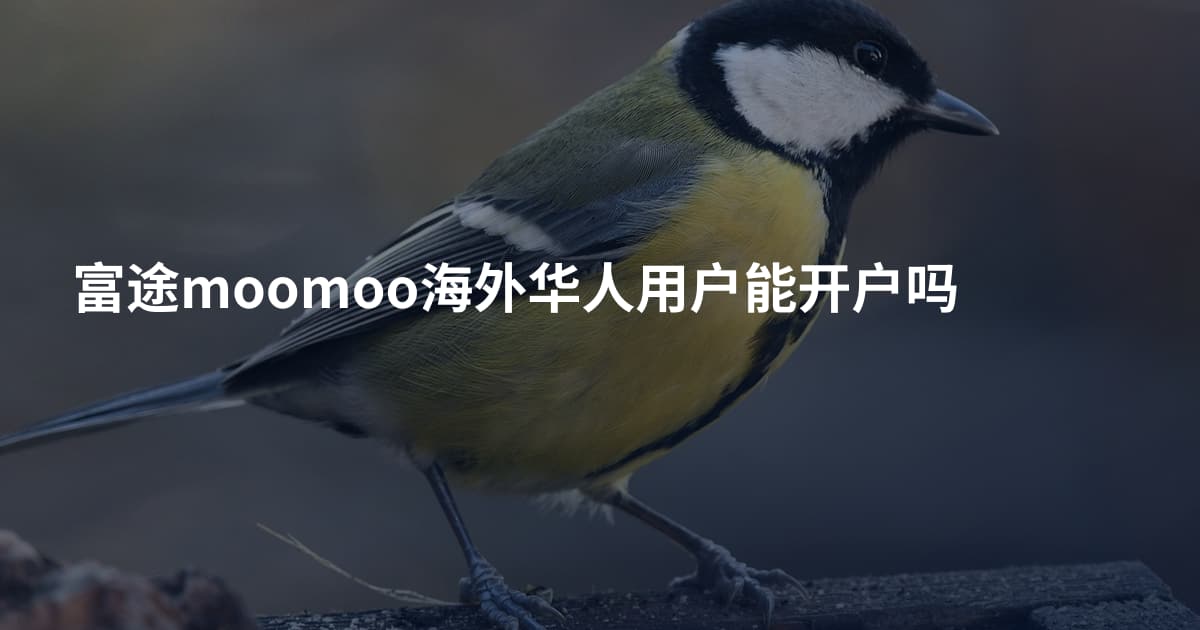 富途moomoo海外华人用户能开户吗