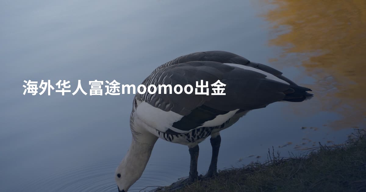 海外华人富途moomoo出金