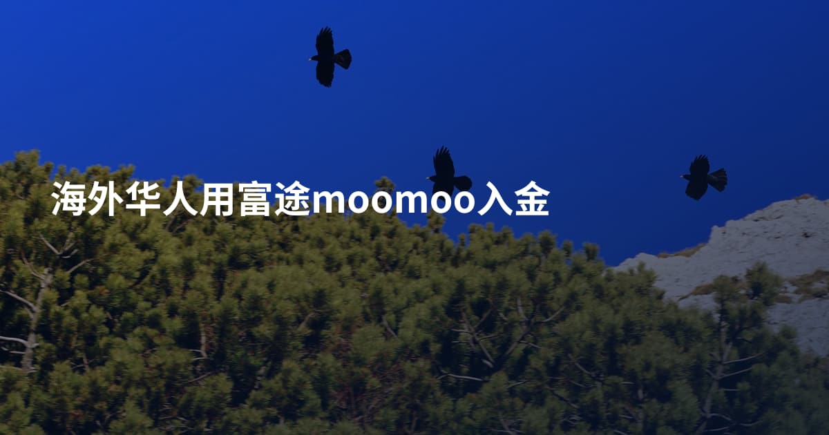 海外华人用富途moomoo入金