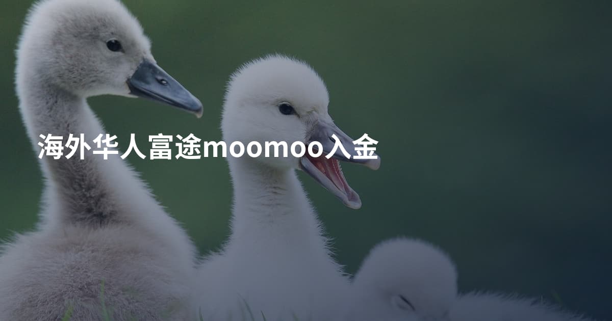 海外华人富途moomoo入金