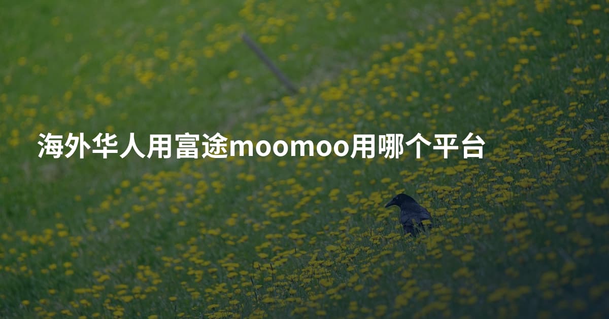 海外华人用富途moomoo用哪个平台