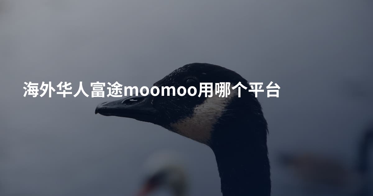 海外华人富途moomoo用哪个平台