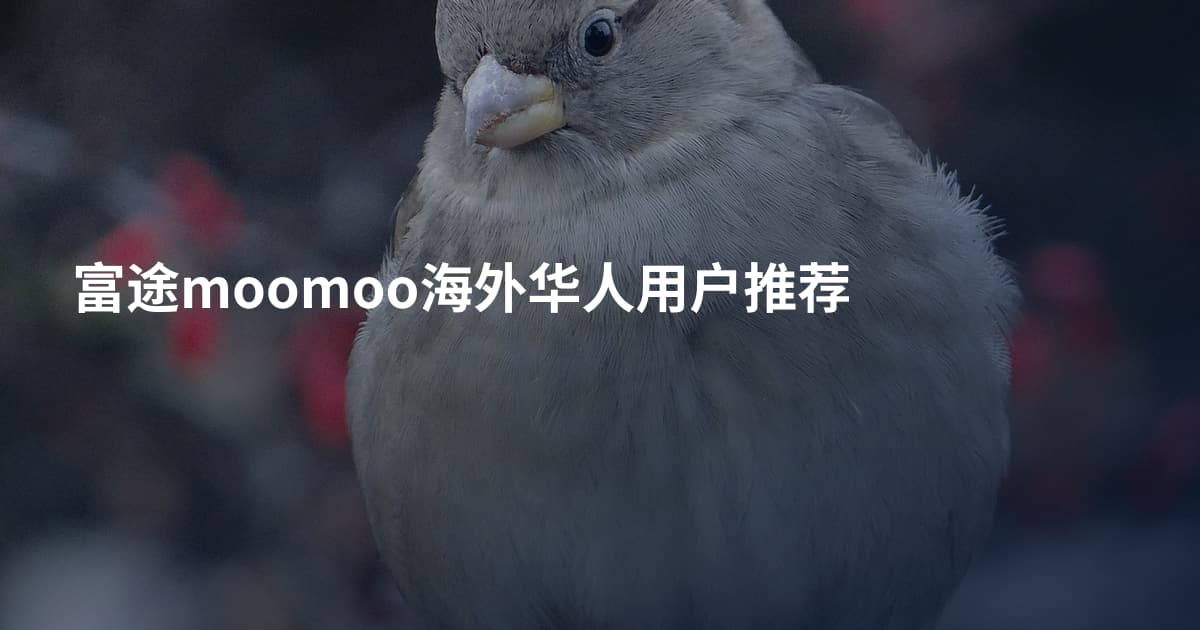 富途moomoo海外华人用户推荐