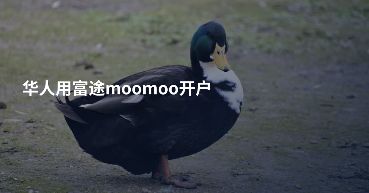 华人用富途moomoo开户