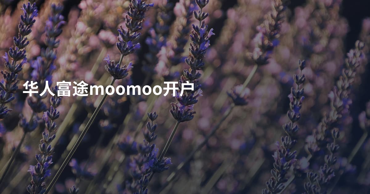 华人富途moomoo开户