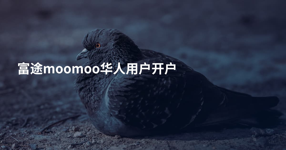 富途moomoo华人用户开户