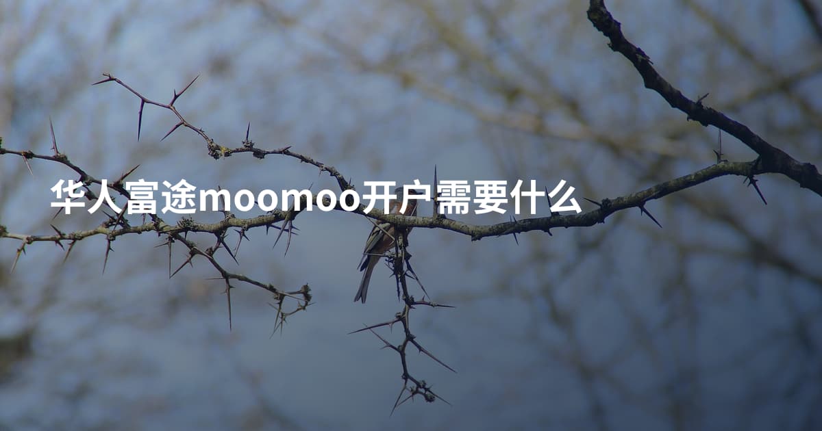 华人富途moomoo开户需要什么