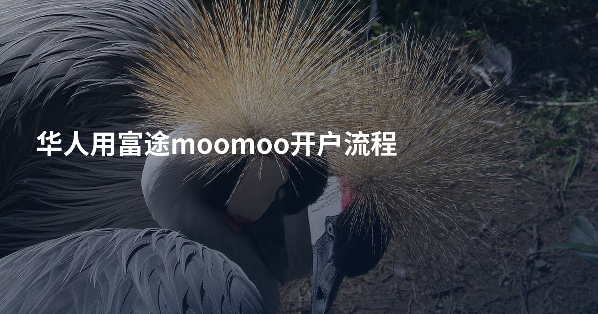 华人用富途moomoo开户流程