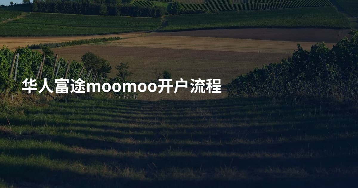 华人富途moomoo开户流程