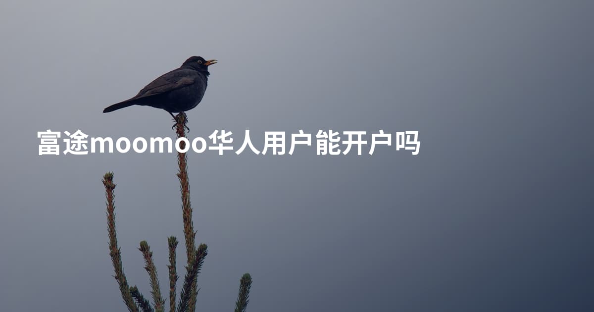 富途moomoo华人用户能开户吗