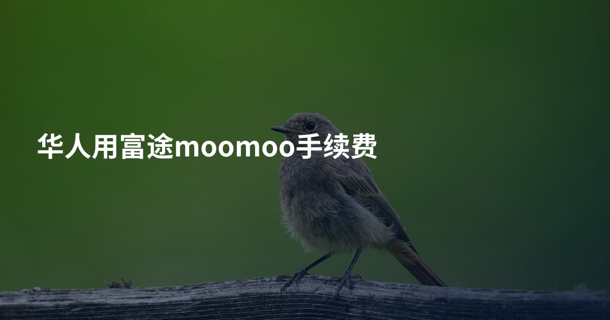 华人用富途moomoo手续费