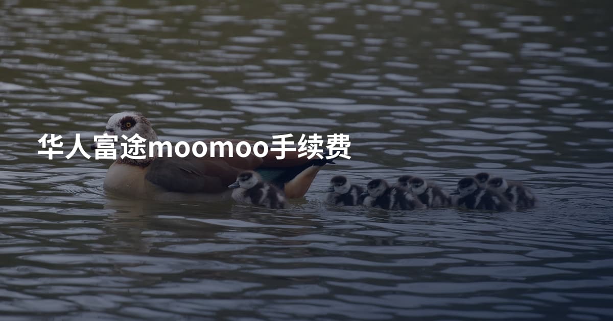 华人富途moomoo手续费