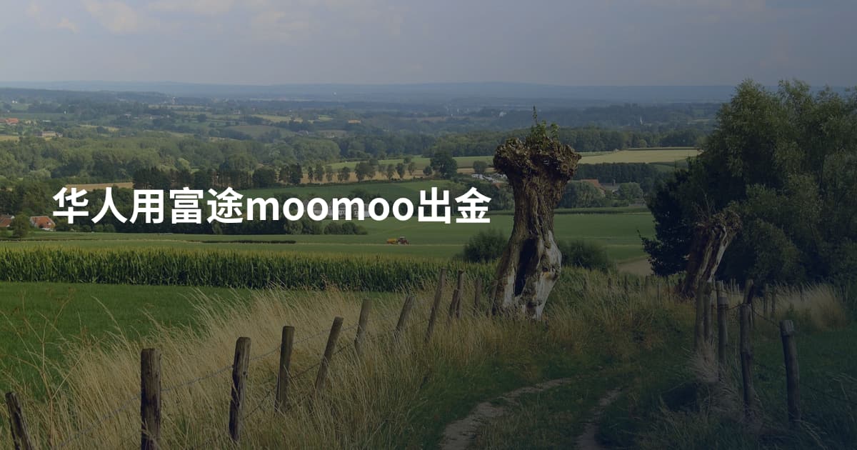 华人用富途moomoo出金