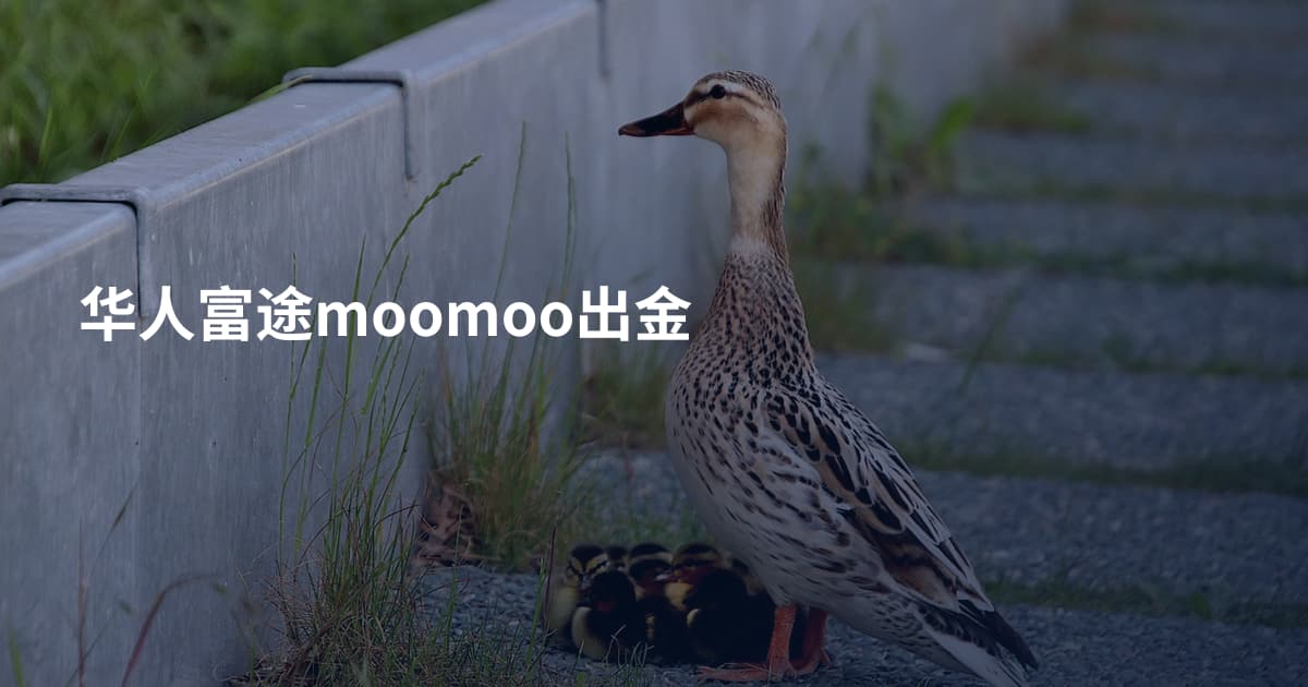 华人富途moomoo出金