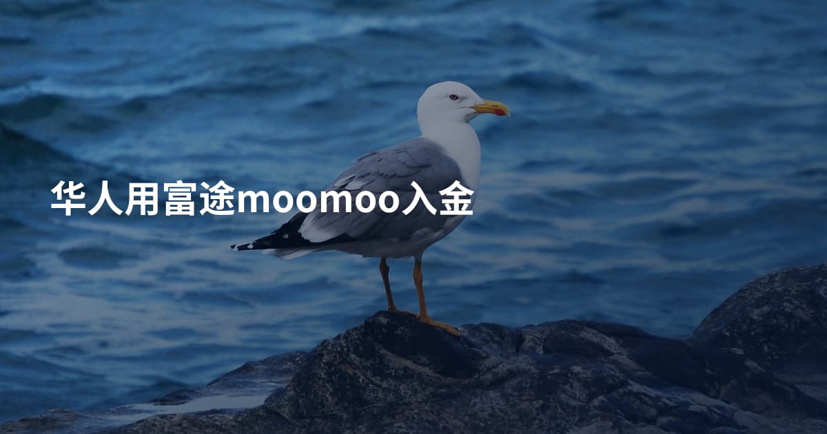 华人用富途moomoo入金