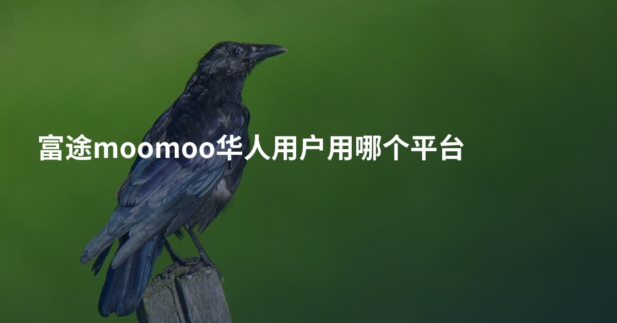 富途moomoo华人用户用哪个平台