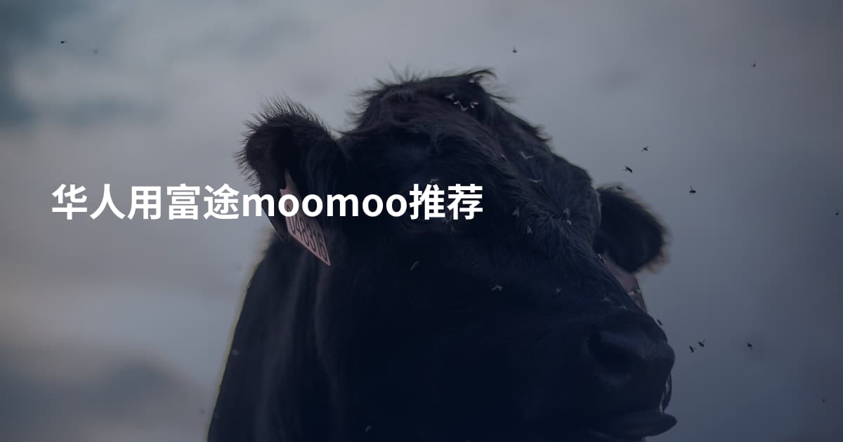 华人用富途moomoo推荐