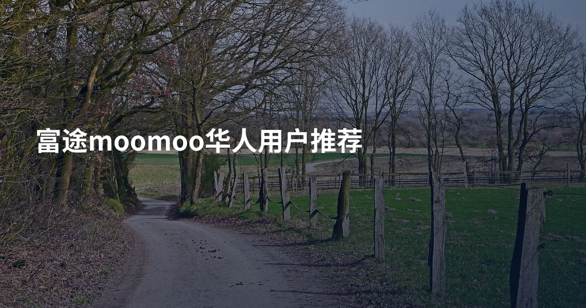 富途moomoo华人用户推荐