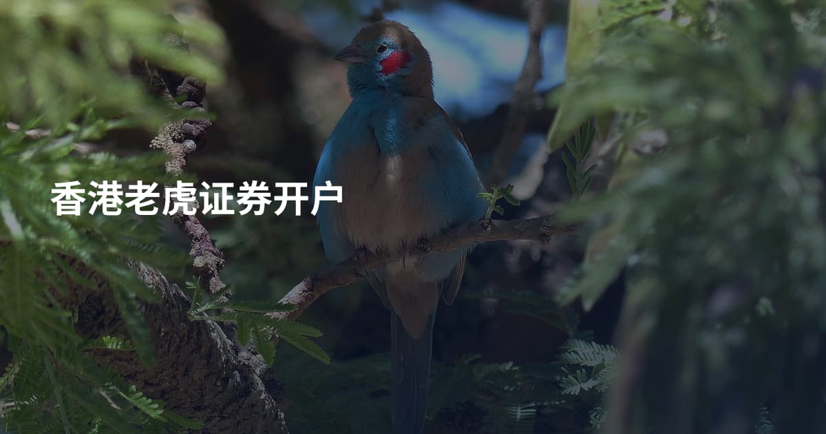 香港老虎证券开户